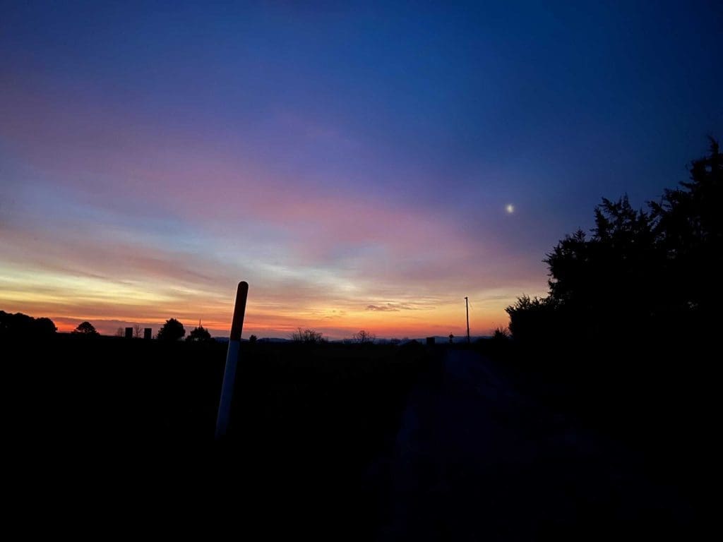 March 2023 Note – Deer and the Small Town, Asking Clients Questions, Silence, and Value of Work