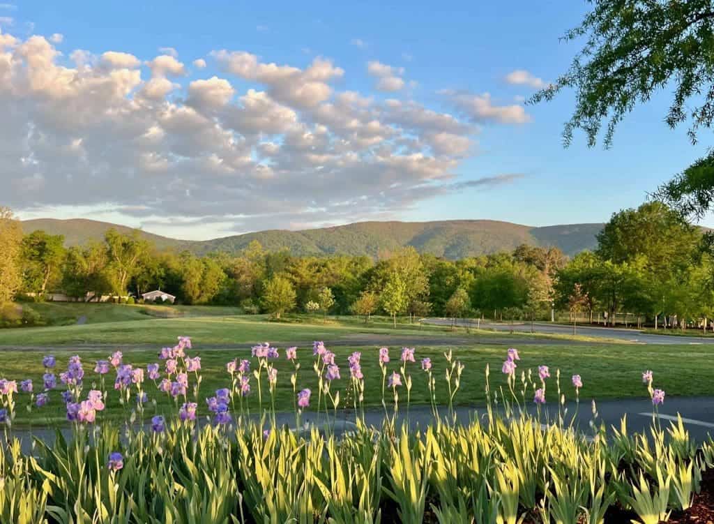 A Comment on Charlottesville’s Real Estate Market