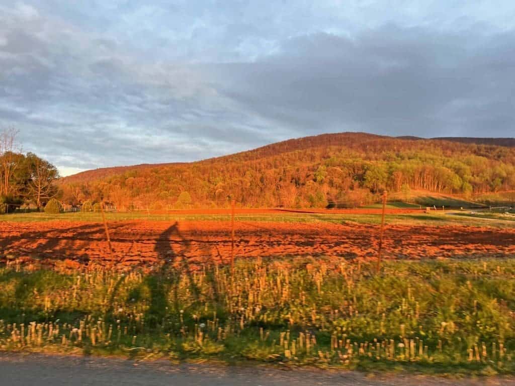 April 2024 Monthly Note | The Charlottesville Market Story is Stagnant