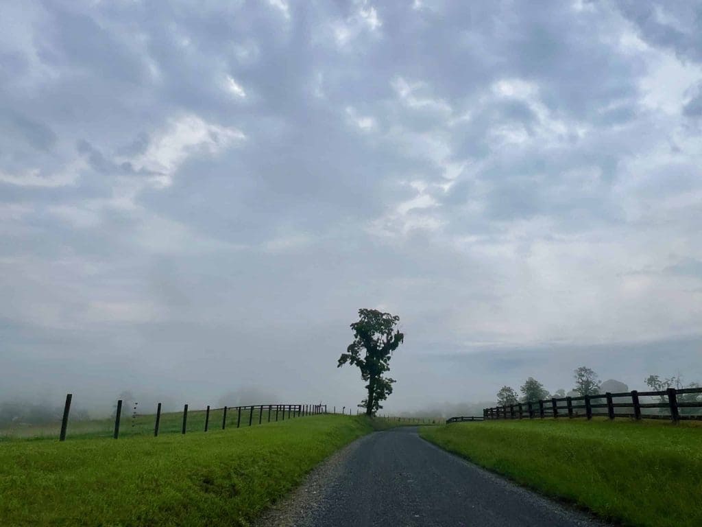 Nearly-End of May 2024 Charlottesville Market Anecdotal Update