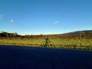 Bicycle shadow on the road with open field and blue sky in the background.