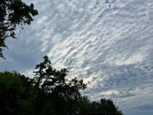 Overcast sky with scattered clouds above lush green trees in June 2026.