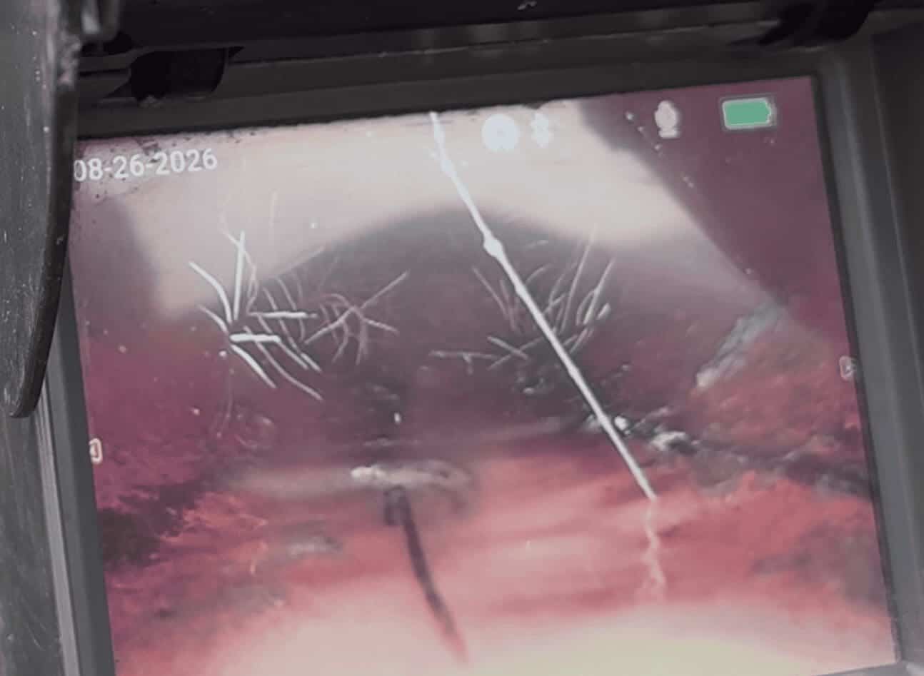 Screenshot of a video showing roots in the sewer line