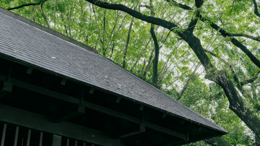 Tree trimming to protect roof during roofing maintenance