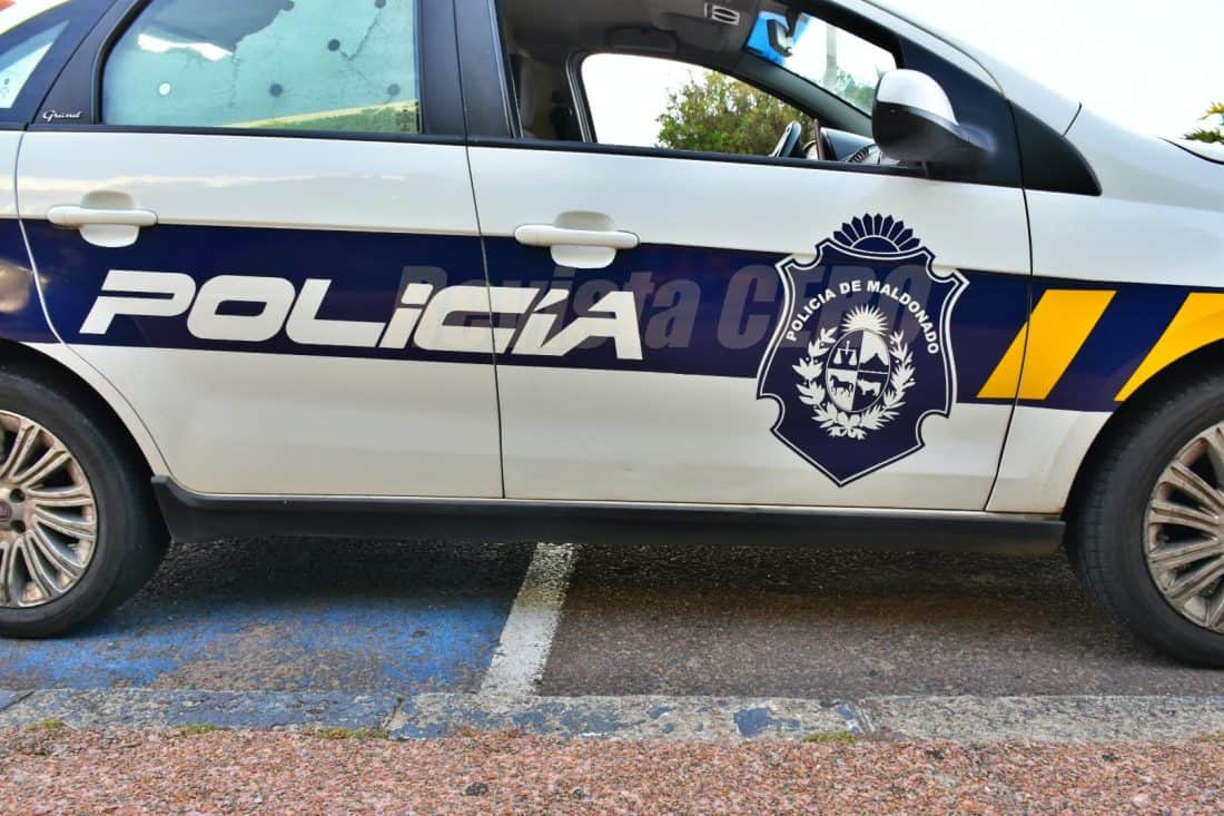 Dos perros pitbull mordieron a su propietaria