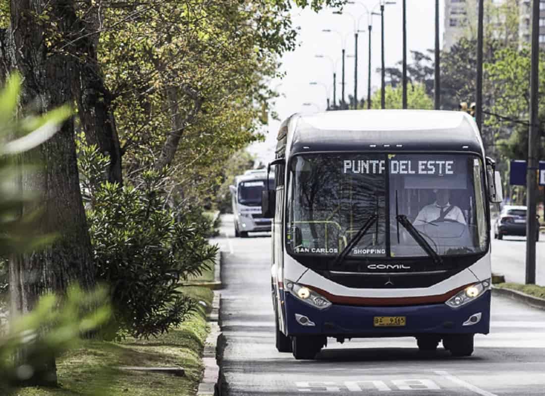 Acuerdo político impulsa cambios profundos en el transporte y la movilidad en Maldonado