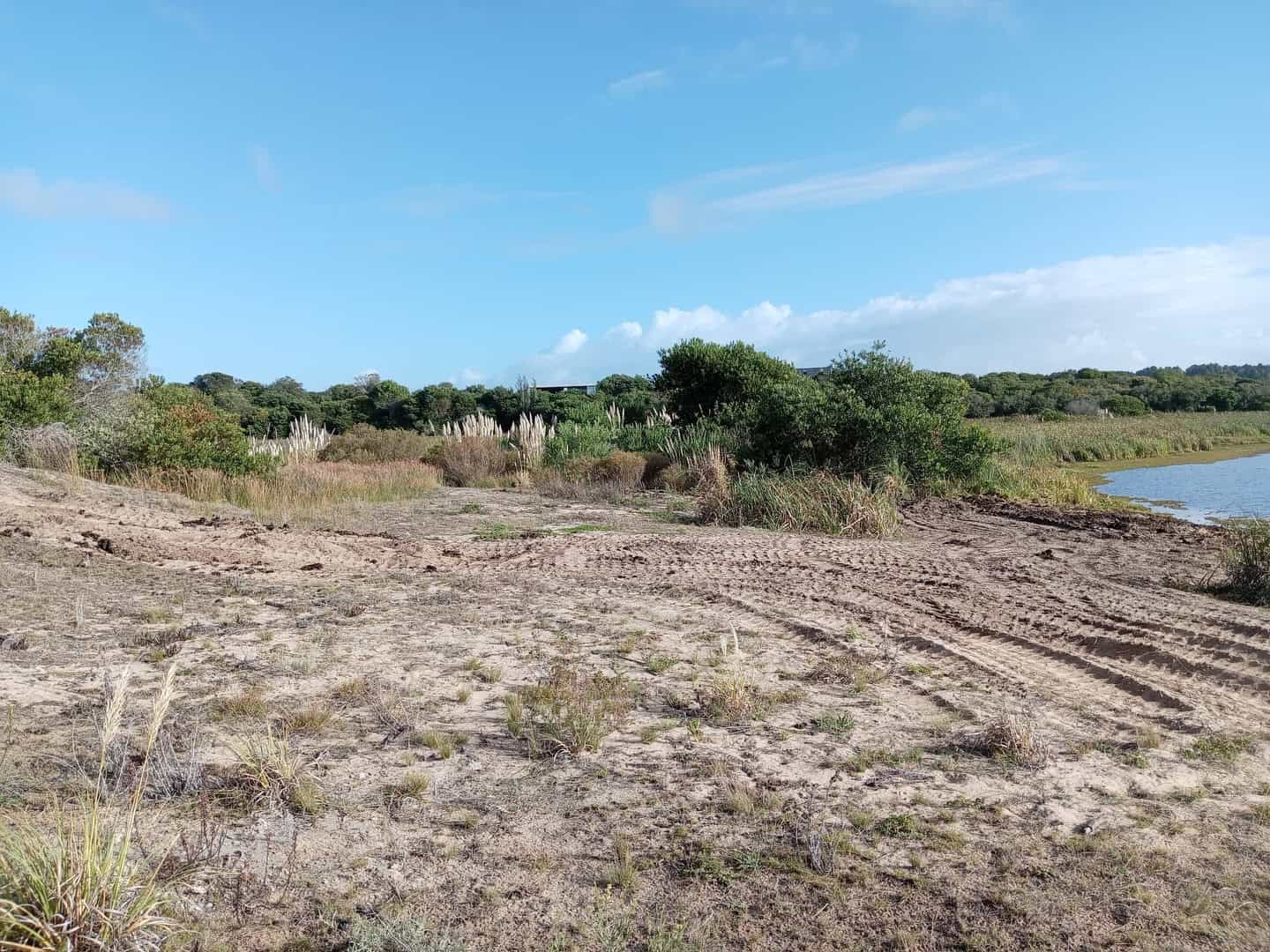 Realizan tareas de limpieza en Laguna Escondida