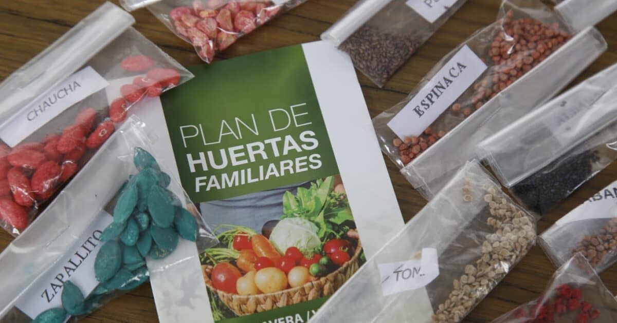 Comienza la entrega de semillas de primavera-verano del Plan de Huertas Familiares