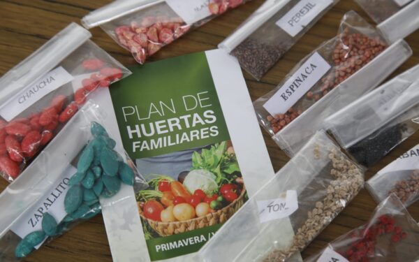 Comienza la entrega de semillas de primavera-verano del Plan de Huertas Familiares