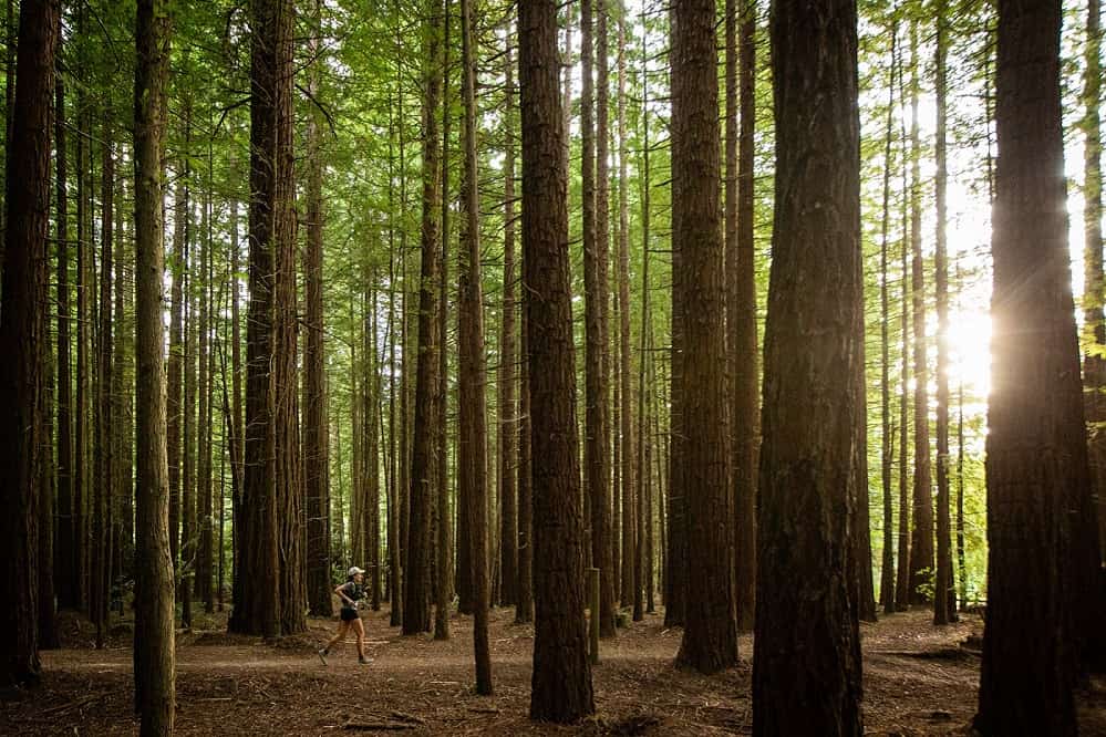 The 2023 Tarawera Ultramarathon by UTMB will see a record number of athletes return to Rotorua on 11-12 February - Photo Tim Bardsley-Smith (002)