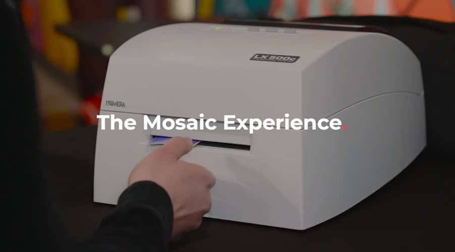 imprint The Mosaic Experience