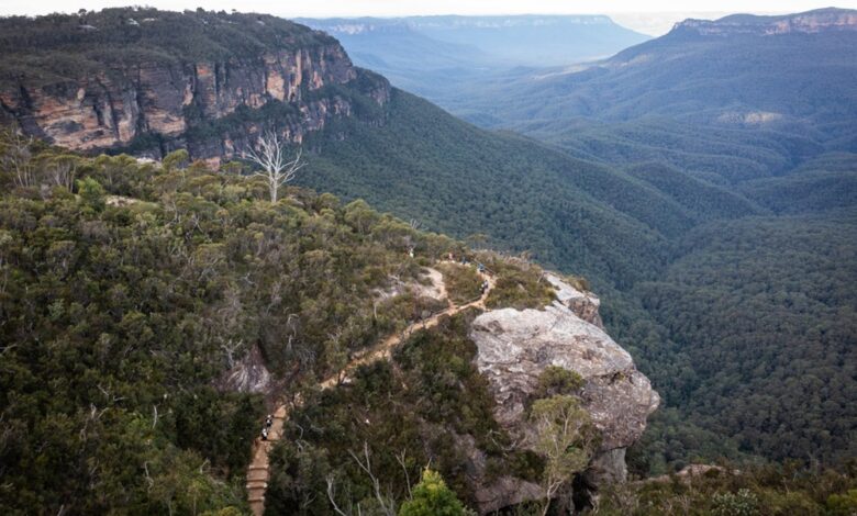 HOKA Ultra-Trail Australia by UTMB elevates to UTMB World Series Major and is set to feature a new 100-mile race in 2025. Credit: Tim Bardsley-Smith