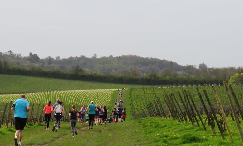 Want to beat the summer heat but stay on your feet Try a nature-rich UK parkrun