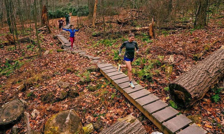 Steady Run on a Wooden Trail Bridge in Forest Dense with Fallen Autumn Leaves and Tall Trees.