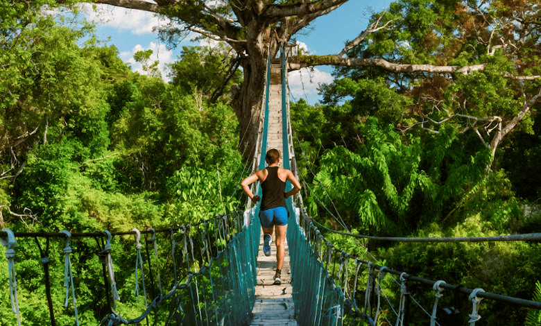 Bridge crossing in lush green forest with a person running on a suspension bridge.
