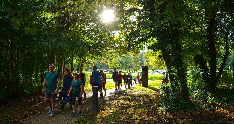 A group of runners jogging through a lush green park with sunlight filtering through trees, promoting outdoor running and fitness.