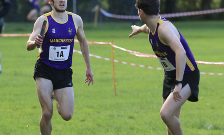 Two male runners competing in a cross country race on a grassy field, wearing purple and yellow uniforms, with trees in the background.