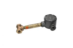 Flow Switch