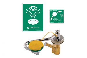 AXION® MSR Sink Mount Eye/Face Wash