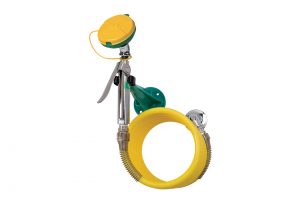 AXION® MSR Wall Mount Eye/Face Wash
