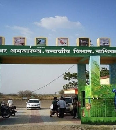 नांदूरमधमेश्वर अभयारण्य