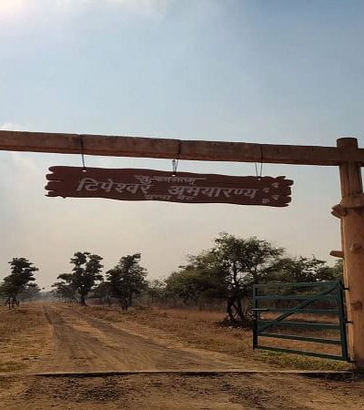 टिपेश्वर अभयारण्य