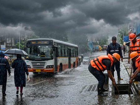 महाराष्ट्रातील २९ जिल्ह्यांना मुसळधार पावसाचा पिवळा इशारा