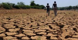 पंधरा जिल्ह्यांत पिकांचा पंचनामा