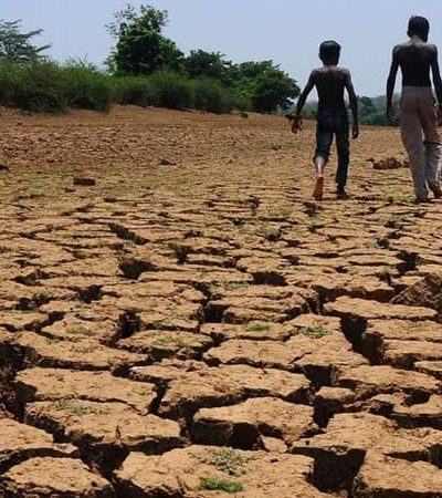 पंधरा जिल्ह्यांत पिकांचा पंचनामा