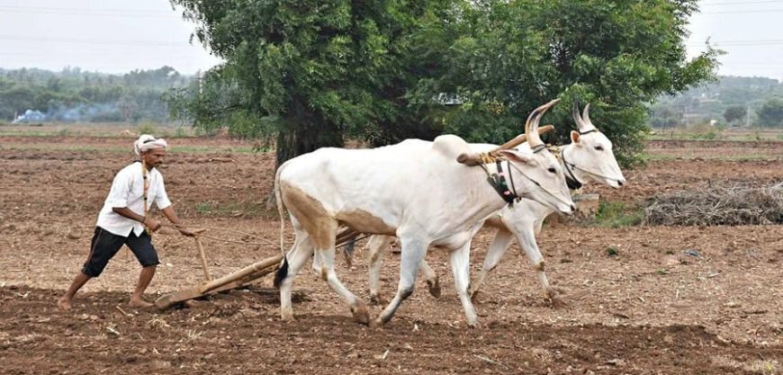 परतीचा पाऊस हुकल्याने शेतकरी हवालदिल