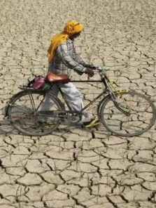 चाळीस तालुक्यांमध्ये दुष्काळ जाहीर