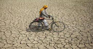 चाळीस तालुक्यांमध्ये दुष्काळ जाहीर