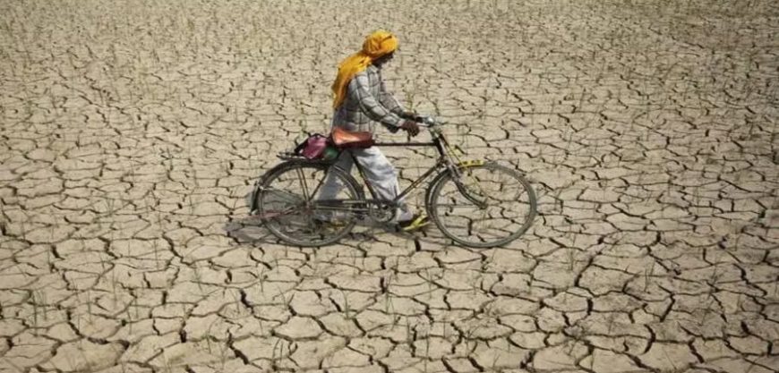 चाळीस तालुक्यांमध्ये दुष्काळ जाहीर
