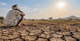 दुष्काळग्रस्त भागांना मोफत धान्य