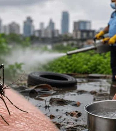 मुंबईत हिवताप – स्वाईन फ्लूचा उद्रेक