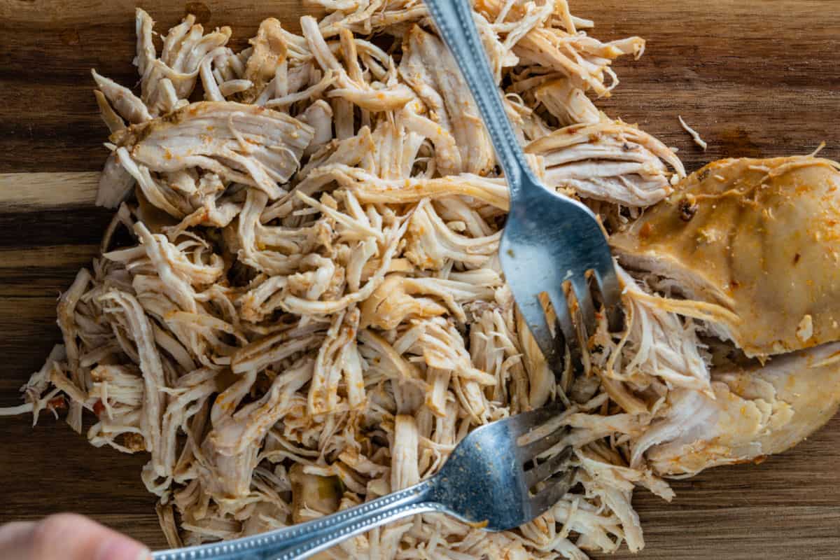 two forks shredding a cooked chicken breast