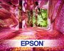 Immersive digital art display using Epson laser projectors at Screen Print India.