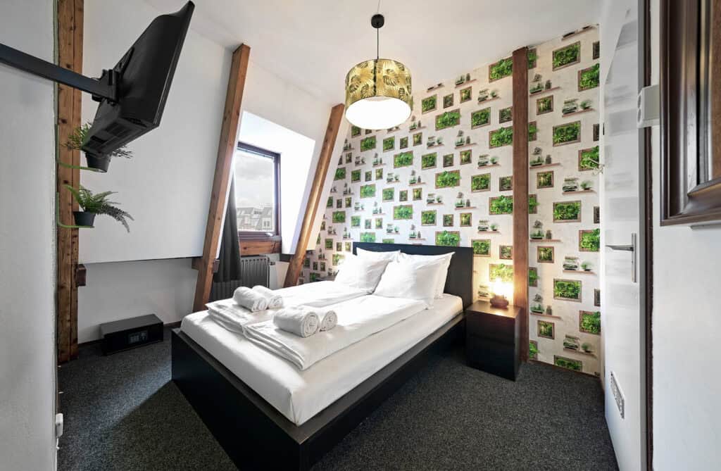 Comfortable hostel room with green wall decor and modern furnishings at Flying Pig Downtown.