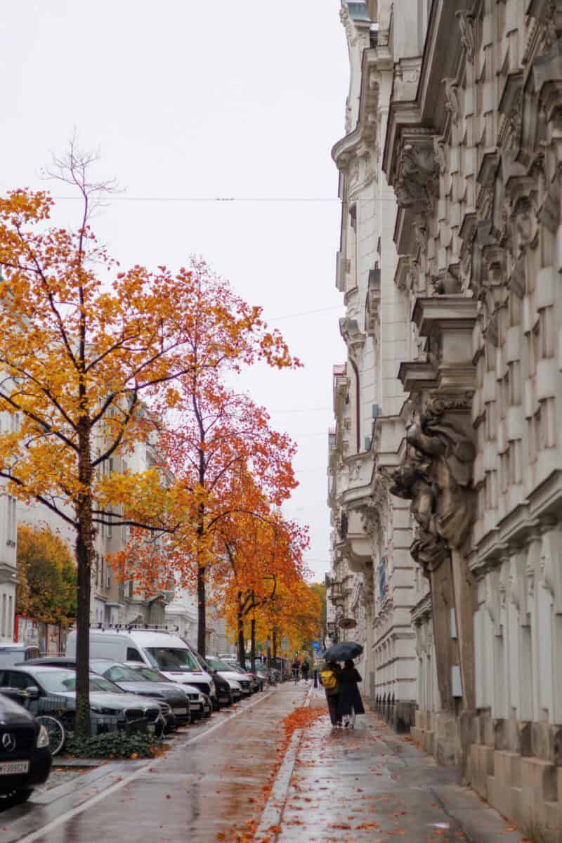 A person walking under an umbrella along a wet city street with autumn trees and historic facades.
