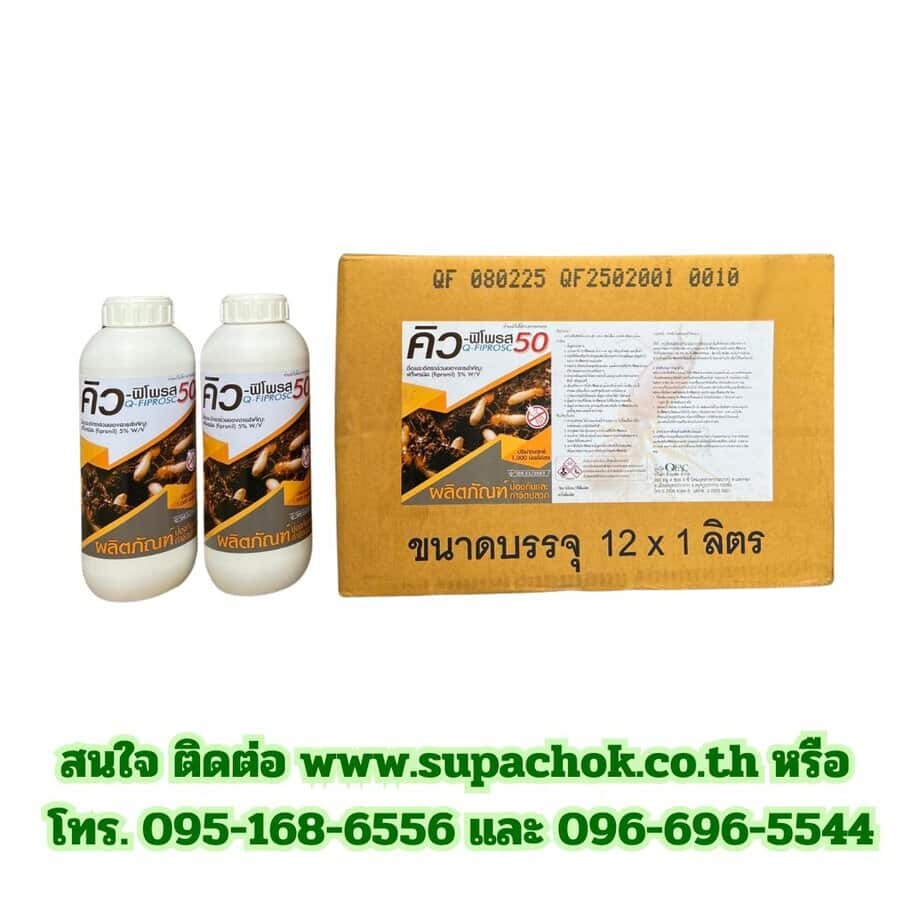 คิว-ฟิโพรส 4 คิว-ฟิโพรส 4