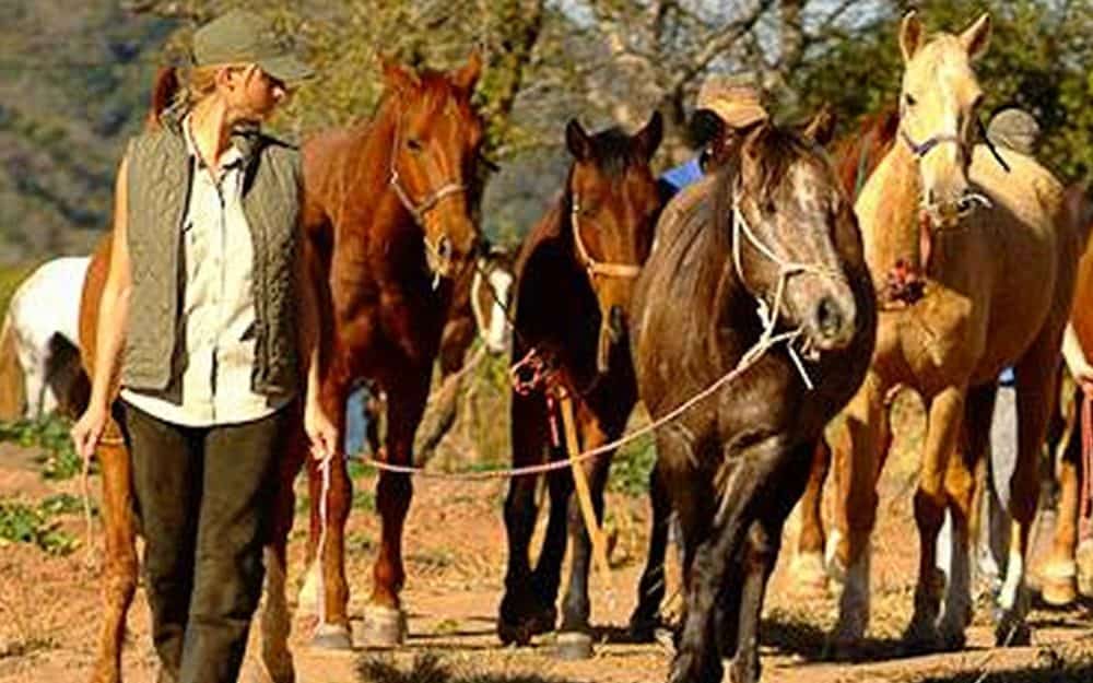 Horses and a woman enjoying a horseback riding tour in South Africa, scenic outdoor adventure with nature and wildlife experiences, Tours & Tickets South Africa 제공.
