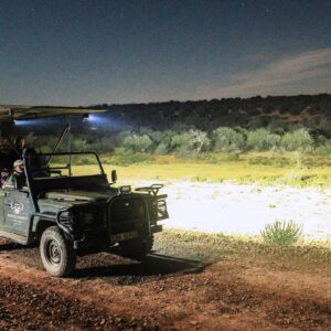 night safari buffelsdrift oudtshoorn