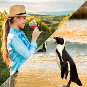 BEST OF CAPE TOWN TOUR - CAPE TOWN