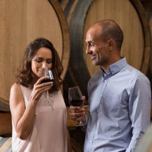WINELANDS HALF DAY TOUR - CAPE TOWN