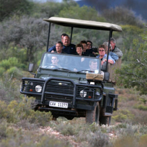 SAFARIS & TOURS
