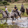 horseback safari botlierskop
