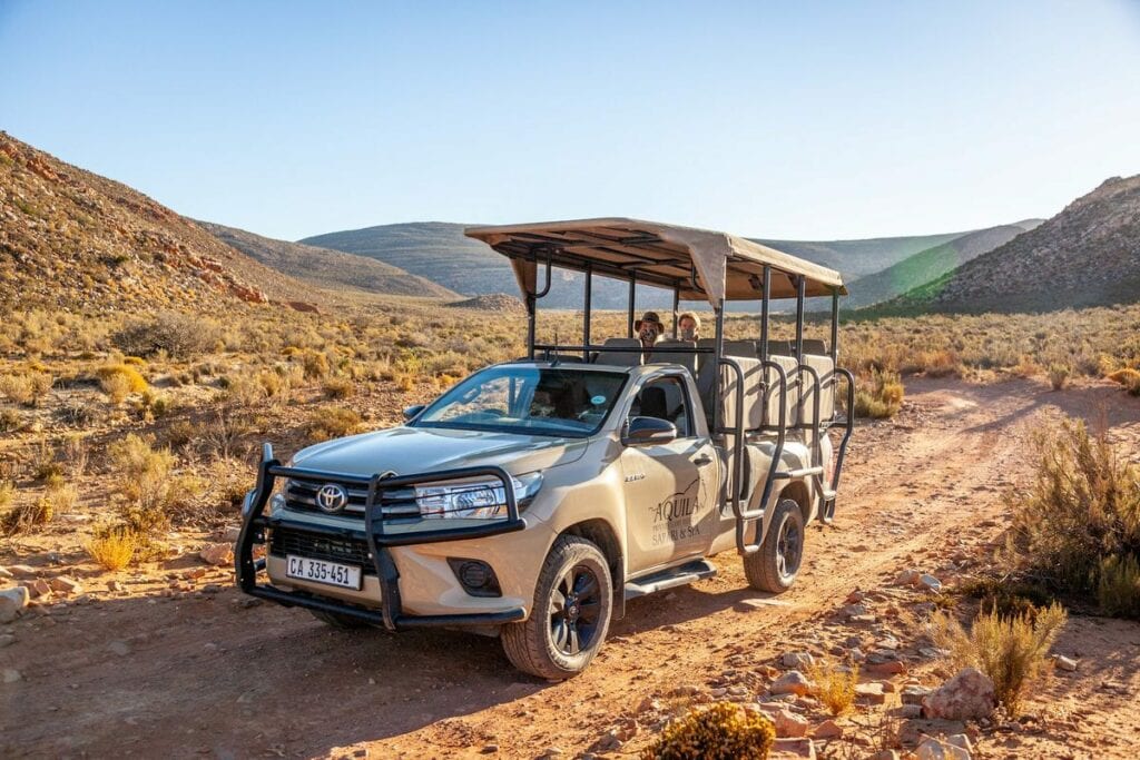 safari aquila private game reserve