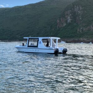 knysna lagoon boat cruise