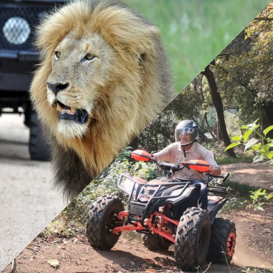 SAFARI + QUAD BIKE COMBO