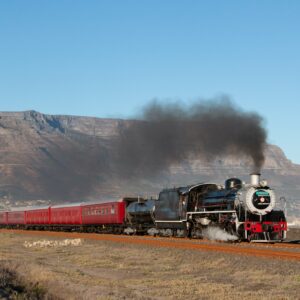 STEAM TRAIN EXPERIENCE TO ELGIN MARKET - CAPE TOWN